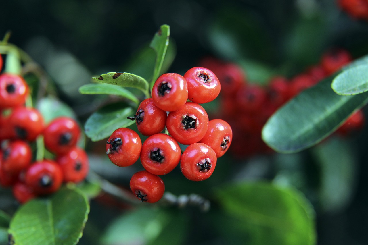 定了？老詹一到两年就退役？除非海外淘金还真差不多